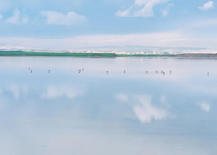 3 Bedroom Old Town 5 Minute Walk To Finnikoudes Apartmán Larnaca